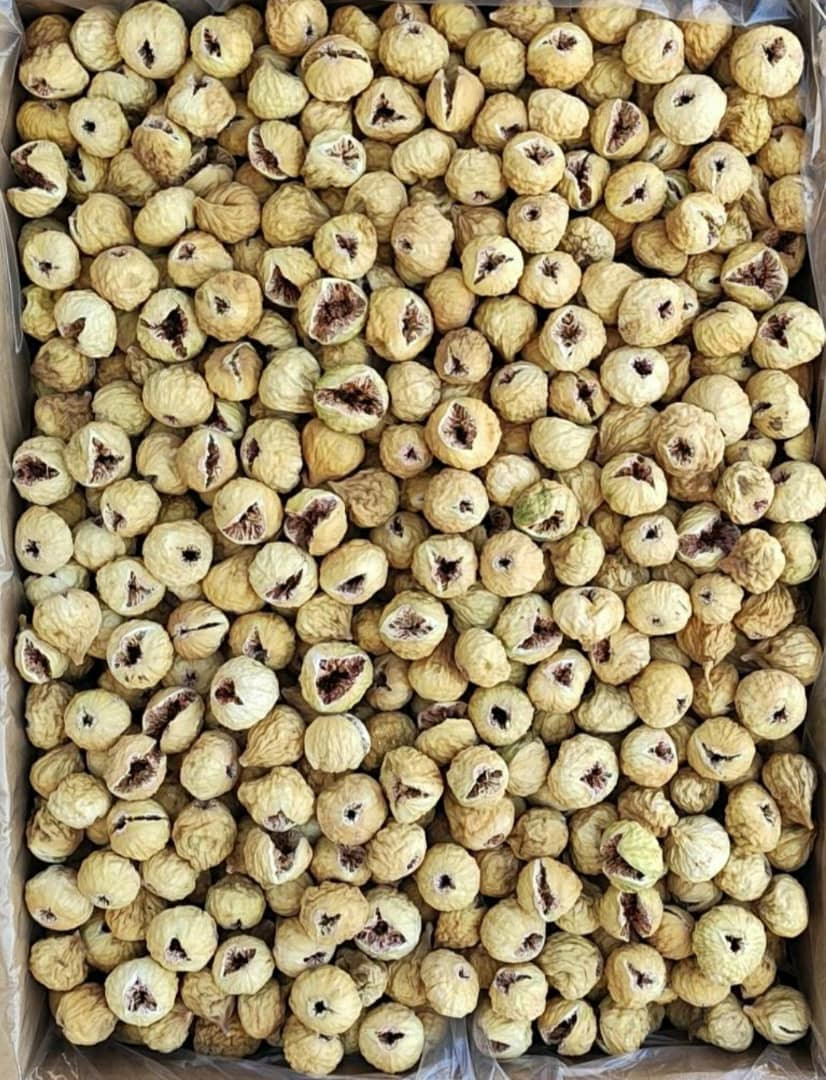 فروش انجیر غنچه و صدیک سایز درشت